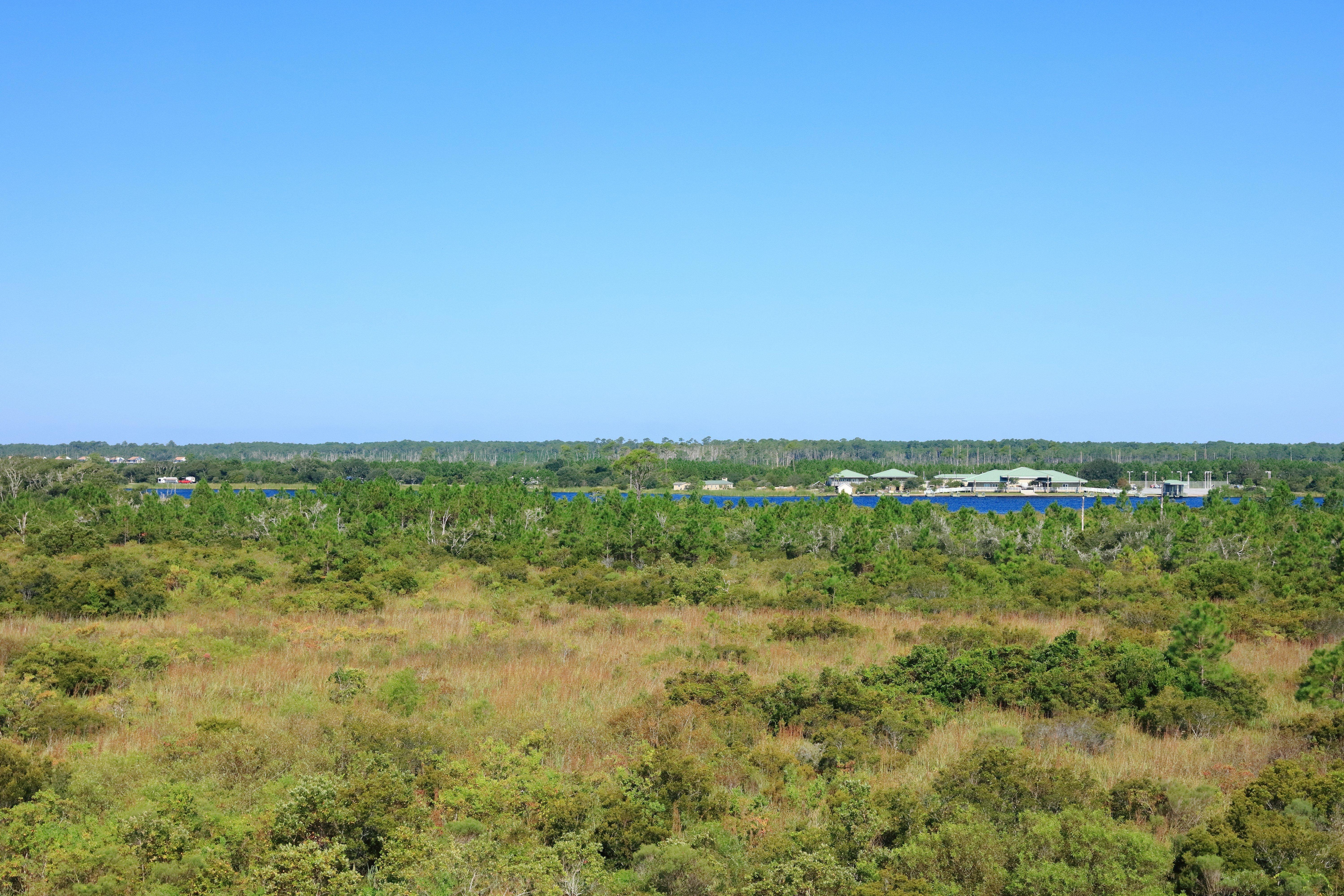 Hotel Indigo Orange Beach - Gulf Shores By Ihg Eksteriør bilde